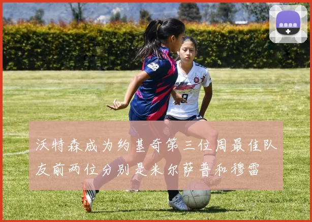 沃特森成为约基奇第三位周最佳队友前两位分别是米尔萨普和穆雷