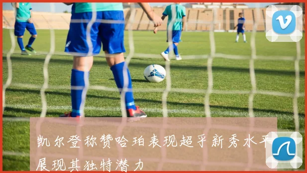凯尔登称赞哈珀表现超乎新秀水平展现其独特潜力